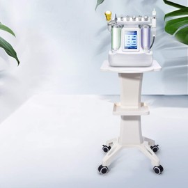 Trolley Wheel Stand Hair Salon Beauty Mobile Cart Rolling Trolley Hair Instrument Storage Tray