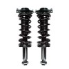 PM Auto Pair of 2 Rear Quick Complete Strut-Coil Spring