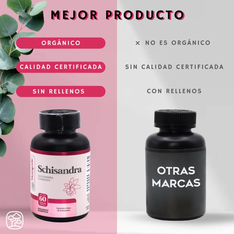 Schisandra 60 Cpsulas De 500 Mg Momosie Dura 1 Mes