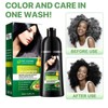 Hair Dye Shampoo, Champu Canas, Champu Colorante, Black Hair Dye