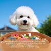 RGBRGB Premium Slow Feeder Snuffle Mat for Dogs - Interactive