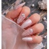 shell glow [Handmade Nail Tip]Rainbow Magnetic Gel - Short Round