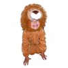 Lion Fancy Dress Costume F57, Size 68 - 134 cm,