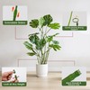 Yhtpouqe 3 Pack Extendable Plant Stakes, 16.5-42.5 Inch Plant Stakes