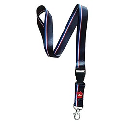 Lanyard for Badge Holder Key Chain Necklace with Clip Printed Stripes (Black Aquitain)