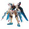 RG 1/144 Strike Freedom Gundam Clear Color Ver.