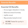 Vitality Extracts STRESS EASE Essential Oil Blend 10ml Retail $19