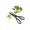 KitchenCraft Kitchen Scissors with Bottle Opener, Stainless Steel, Multi Purpose