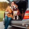 EQLEF® 4 Pairs Bear Dog Paw Animal Footprints Car 3D