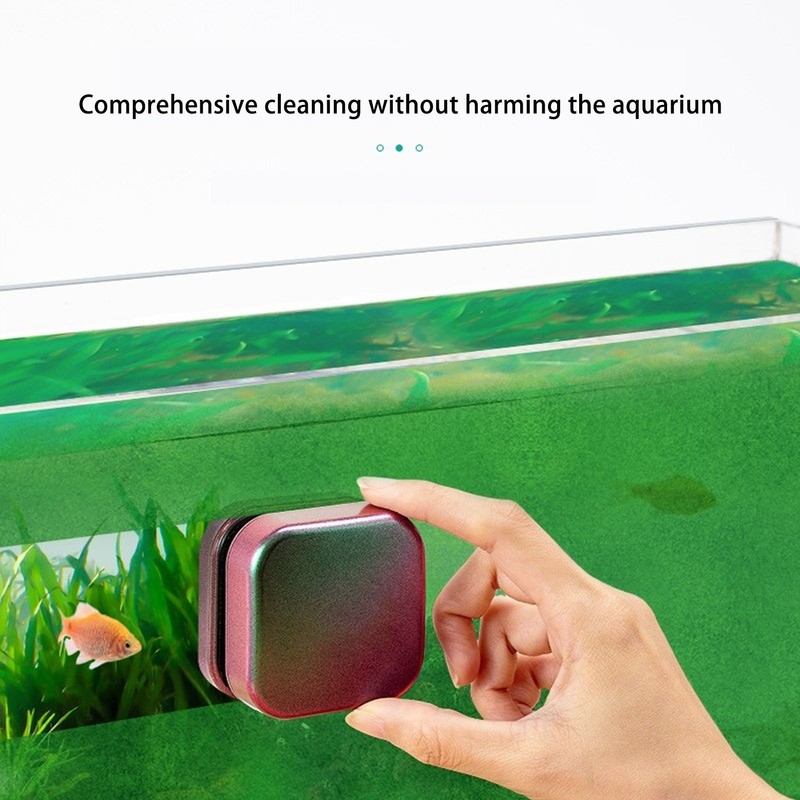 Mini Aquarium Magnetic Brush Gradient Color Double Sided Prevent Slip