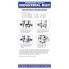 CHAMPION Industrial Belt Back Brace Abdominal Support Shoulder Straps, Black