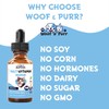 Cat Multivitamin - Promotes Healthy Skin & Coat, Joint Support,