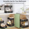 Under Sink Organizer, 2 Pack 2 Tier Pull out Cabinet
