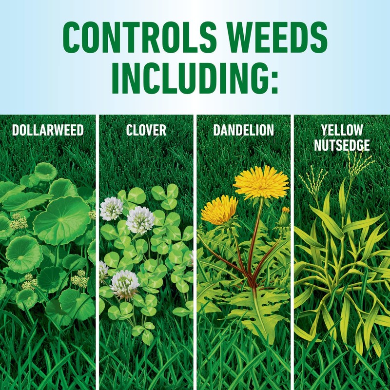 Roundup for Lawns₄ Ready-to-Use (Southern) - All-in-One Weed Killer for