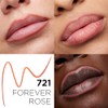 L'Oréal Paris Colour Riche Lip Liner, Forever Rose, 0.007 oz.