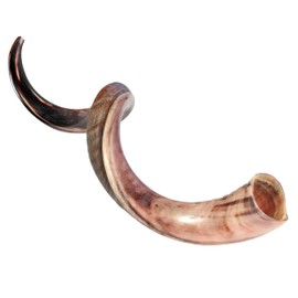 HalleluYAH Original Kosher Half-Polished Kudu Shofar From ISRAEL