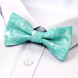 Alizeal Paisley Banded Adjustable Length Pre-tied Boy's Bow Tie, Turquoise