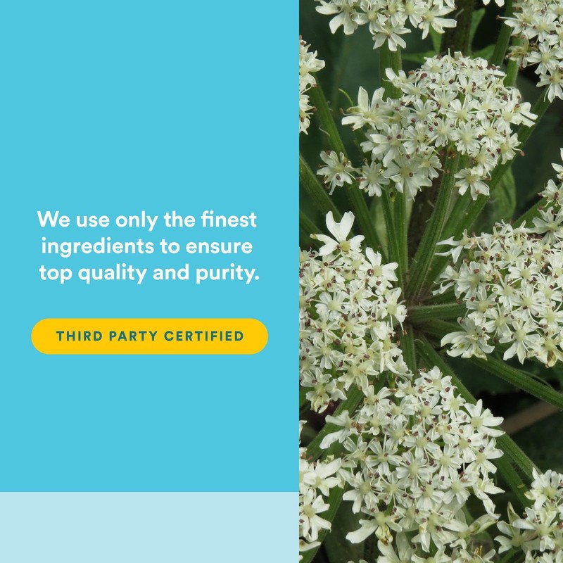 Natural Factors Menosense Veg-Capsules, 90-Count