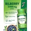 Nature's Truth Bilberry Extract Capsules | 2400mg | 100 Count