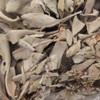 White Sage, Crush, No Selection, 3.5 oz (100 g), No
