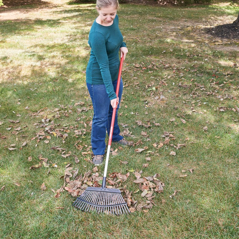 25-Tine Aluminum Handle Lawn Rake
