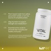 LTH Vital Vegan Protein - Trusted by Life Time Fitness