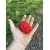 Homemade Carp Rice Pack Bait Forever Rice 12+ Pound Bag