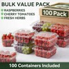 Qinyoung 100 Pack Berry Containers 1 Pound Plastic Fruit Containers