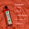 Shampoo Natural Anticaída Cabello Árbol Verde 500ml