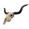 Long Horn Cow Skull Wall Hanging Longhorn Steer
