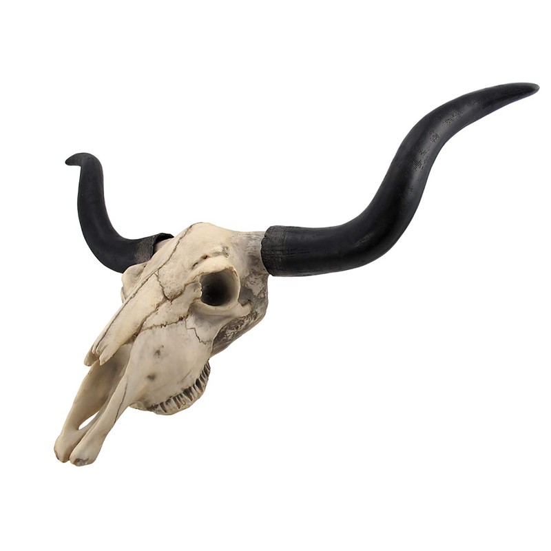 Long Horn Cow Skull Wall Hanging Longhorn Steer