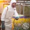 Dräger Pack of 25 Farbspritzfolien for Full Face Mask 5500,