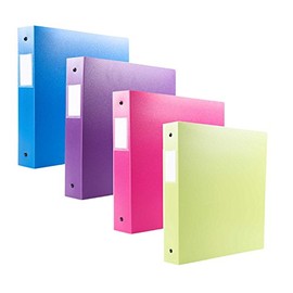 Filexec 3 Ring Binder, 1 Inch Capacity, Opaque, Letter size, Pack of 4, Blue, Hot Pink, Purple, Green (50162-6497)