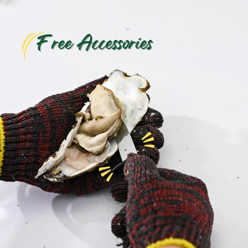 Oyster Shucker Tool Set, Oyster Clam Opener Machine, Stainless Steel,