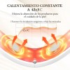 Reductor De Papada Ems Caliente Luces 4 Electrodos Anlan