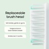 Quip Cepillo de dientes sónico de plástico para adultos Plus