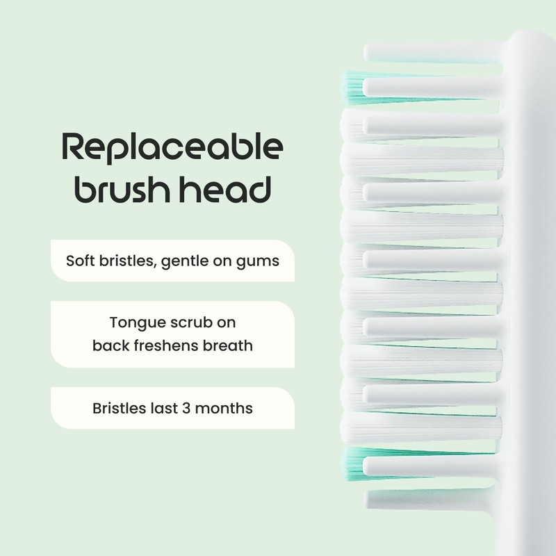 Quip Cepillo de dientes sónico de plástico para adultos Plus