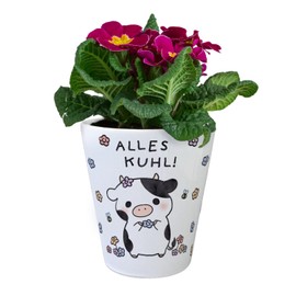 Cow Flower Pot with Saying Alles Kuhl Kawaii Cow Flower Pot Farm Animals Decoration Village Child Flowers Bicycle Charm