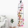 Gardening Climbing Vine Plant Climbing Vine Trellis for Climbing Plants
