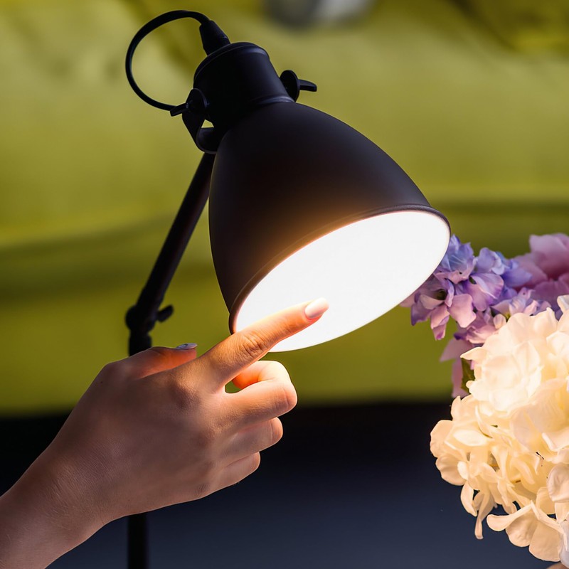 Hemobllo Ceiling Light Diffuser Covers - 6 Pcs 5 Inch
