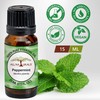 All Naturals 100% Pure Peppermint Essential Oil (Up, India) For