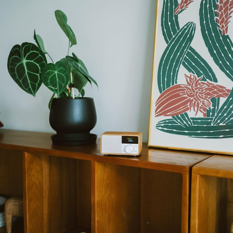 Sangean WR-305 Wide FM Radio Bluetooth Speaker with OLED Display,