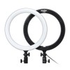 Godox LR120 12 Inch LED Ring Light Studio Photography Fill-in