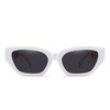 AOOLIA Retro Cateye Sunglasses Women Men Trendy Polarized Shades Sunnies