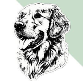 Large 210mm 'Golden Retriever Portrait' Permanent Sticker Decal for Cars/Windows/Bins/Walls etc (DW00129514)