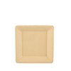 PAPSTAR 86292 Disposable Plates Sugar Cane Plates Square Natural Pure