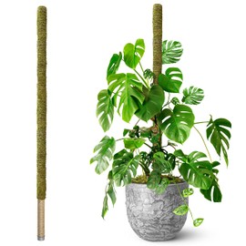 DUSPRO 80 Inches Large Moss Pole for Plants Monstera, Plant Stakes for Indoor Plants, Monstera Plant Support, Plant Support/Plant Pole for Big Climbing Plants Indoor (1pc., 80'')