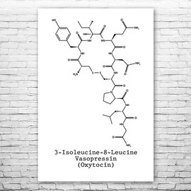 Oxytocin Molecule Poster Print, Love Hormone, Oxytocin Art, Biologist Gift, Professor Gift, Neurochemistry Art Black & White (9 inch x 12 inch)