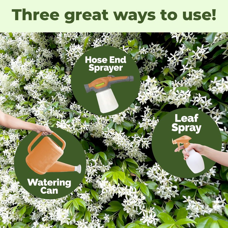 Star Jasmine Fertilizer for Star Jasmine Tree, Great for Any
