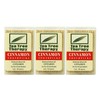 Tea Tree Therapy Toothpicks, Cinnamon, 100 Count (3-Pack)